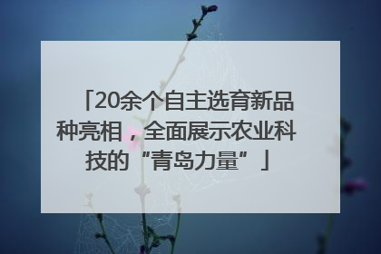 20余个自主选育新品种亮相，全面展示农业科技的“青岛力量”
