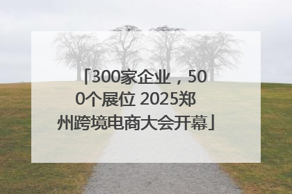 300家企业，500个展位 2025郑州跨境电商大会开幕