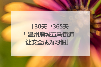 30天→365天！温州鹿城五马街道让安全成为习惯