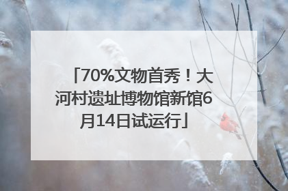 70%文物首秀！大河村遗址博物馆新馆6月14日试运行