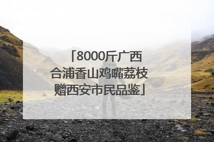 8000斤广西合浦香山鸡嘴荔枝赠西安市民品鉴