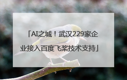 AI之城！武汉229家企业接入百度飞桨技术支持