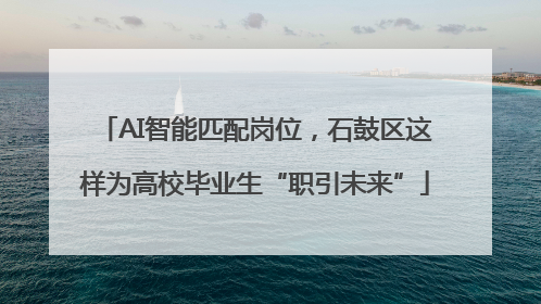 AI智能匹配岗位，石鼓区这样为高校毕业生“职引未来”