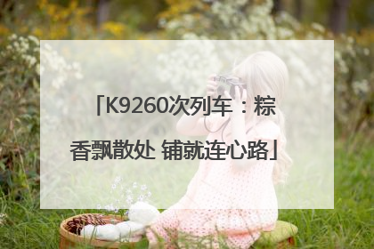 K9260次列车：粽香飘散处 铺就连心路
