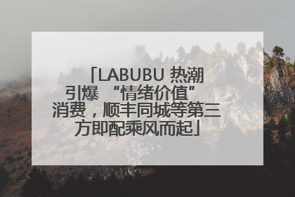 LABUBU 热潮引爆 “情绪价值” 消费，顺丰同城等第三方即配乘风而起