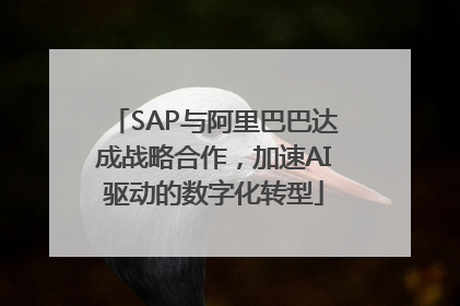 SAP与阿里巴巴达成战略合作，加速AI驱动的数字化转型